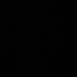 Meet your Posher, Rosalie